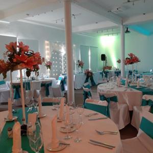 Terral Hotel & Spa Vicuna Luaran gambar